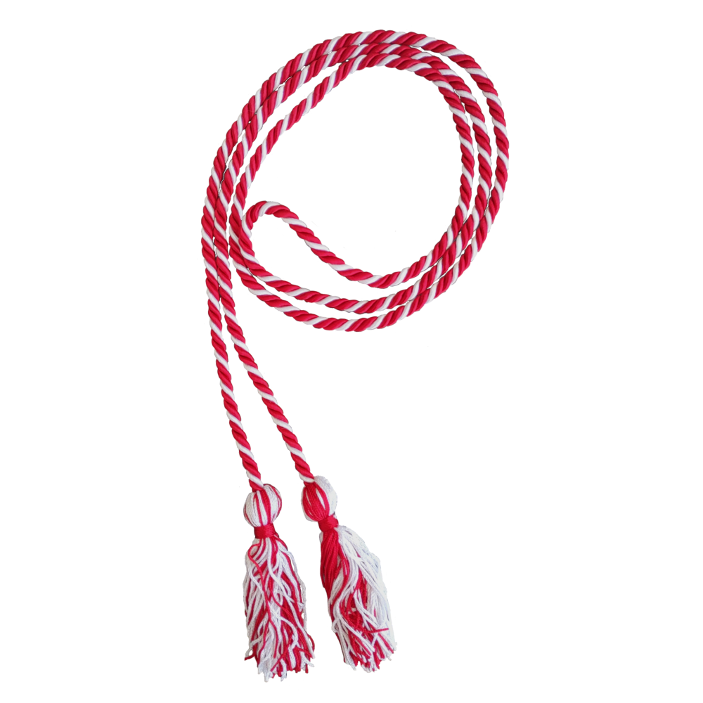 WeGraduate 12-Pack Graduation Honor Cords – Royal Blue With Tassels (68") - View #2