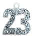 23 silver bling